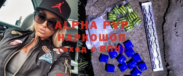 spice Каменка