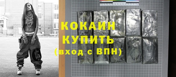 spice Каменка
