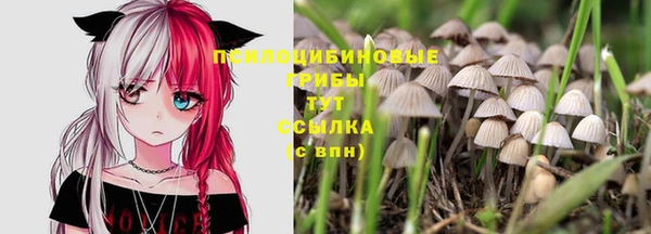 марки lsd Каменск-Шахтинский