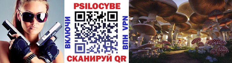 Галлюциногенные грибы Psilocybe  Купить где  Заполярный 